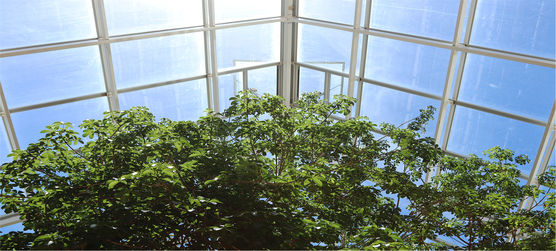 sustainability-background